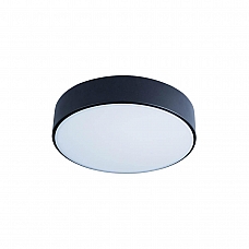 Потолочный светодиодный светильник Loft IT Axel 10002/12 black