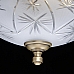 Потолочный светильник MW-Light Афродита 317011603